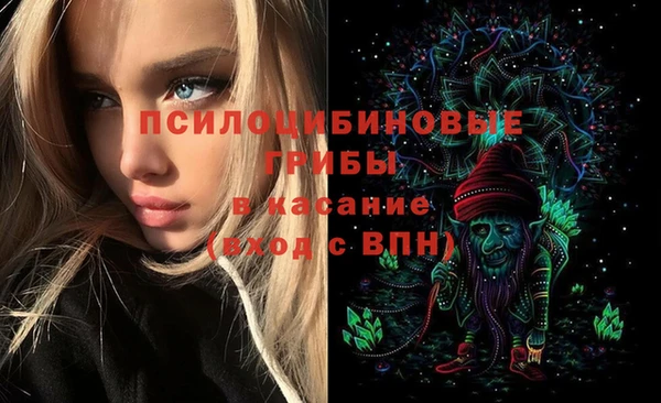 apvp Арсеньев