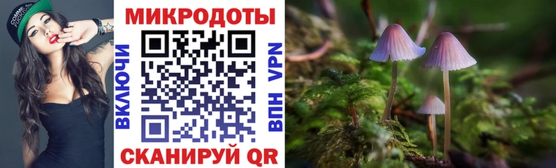 где купить   Цивильск  Галлюциногенные грибы мухоморы 